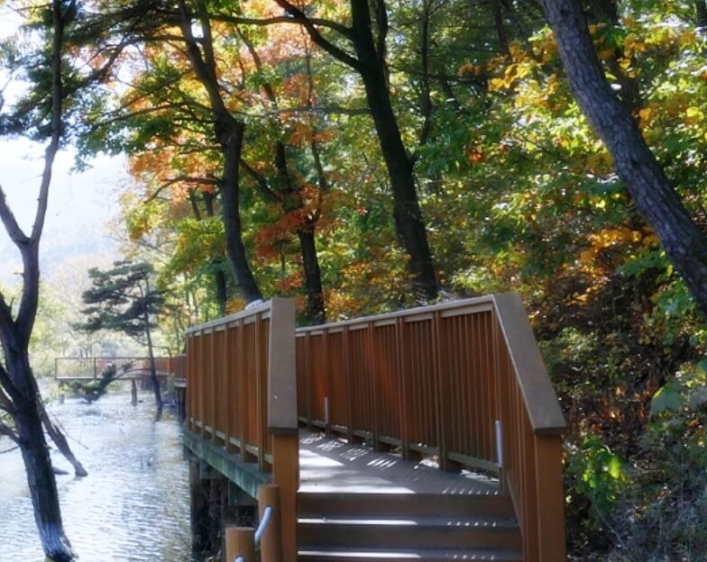 아이들과-가기-좋은-1월-국내-여행지-추천