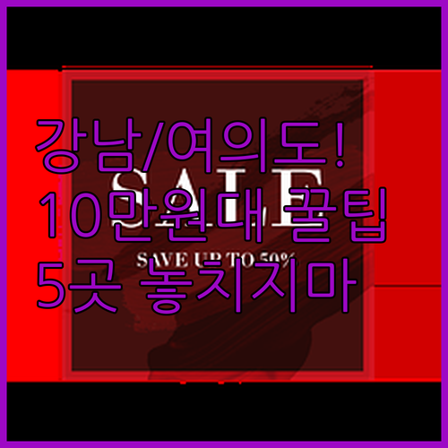 서울 여의도 영등포 강남 10만원대 ..