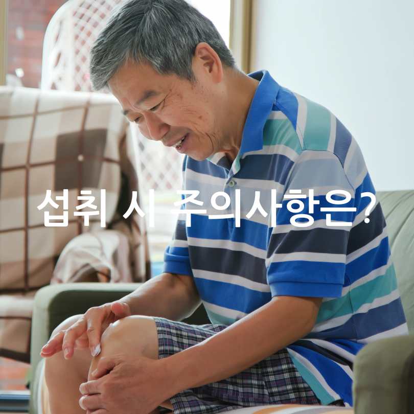 MBP과 콘드로이친 차이점