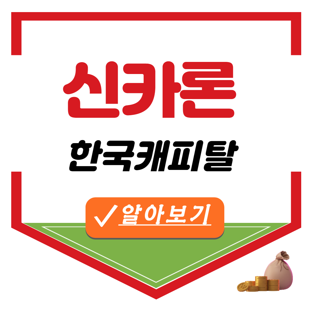 한국캐피탈 신카론 신용카드소지자 대출
