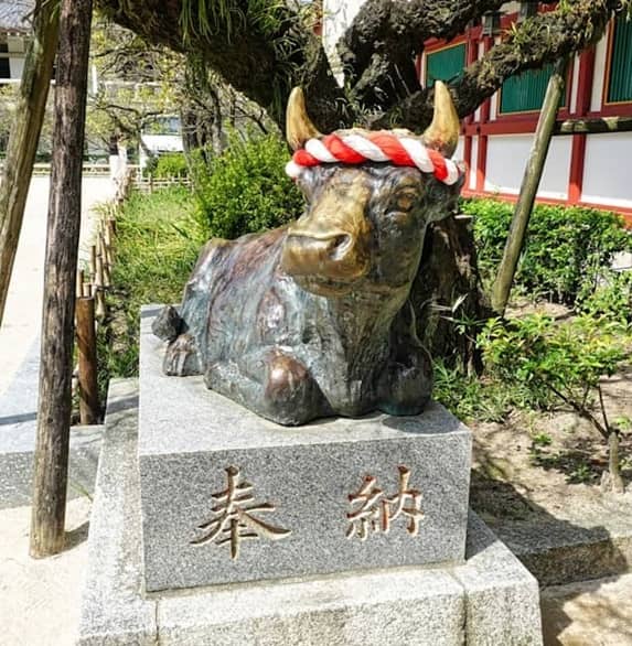 후쿠오카여행 다자이후 난조인 미야지다케