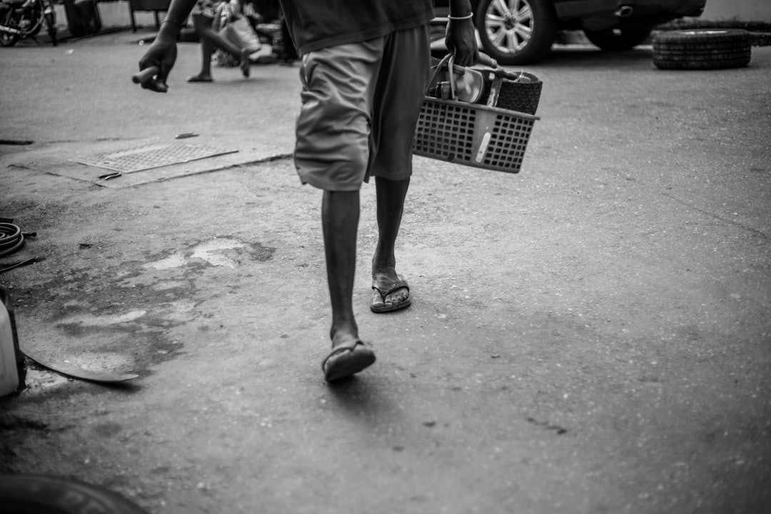 livelihood