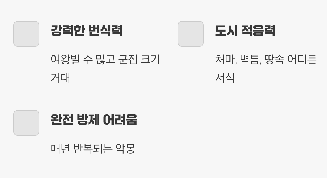 막을 수 없는 끈질긴 생명력