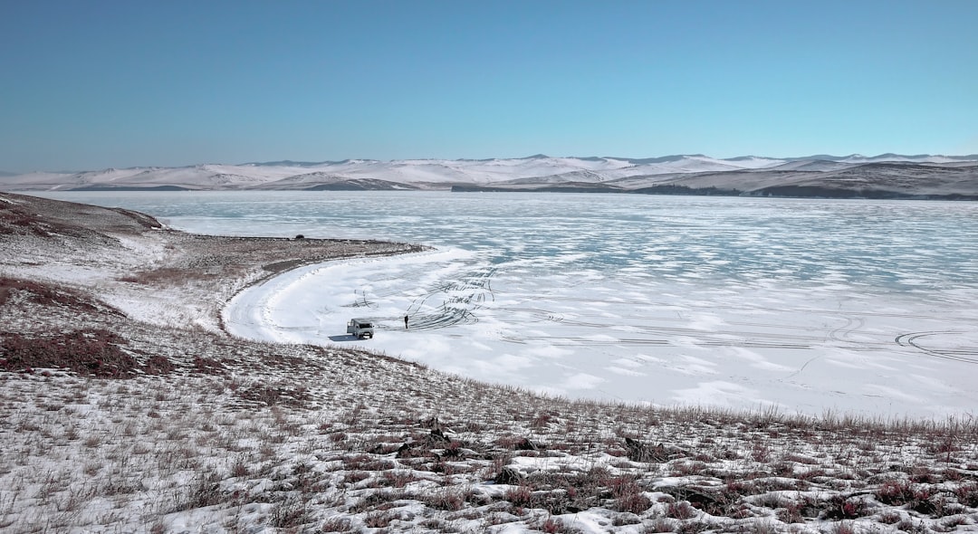 Biwon (frozen smelt)