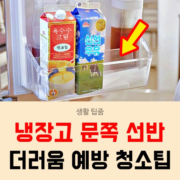 냉장고 문쪽 도어 선반 소주 청소 세균, 냉장고 문 고무패킹 청소, 생활 팁줌 매일꿀정보