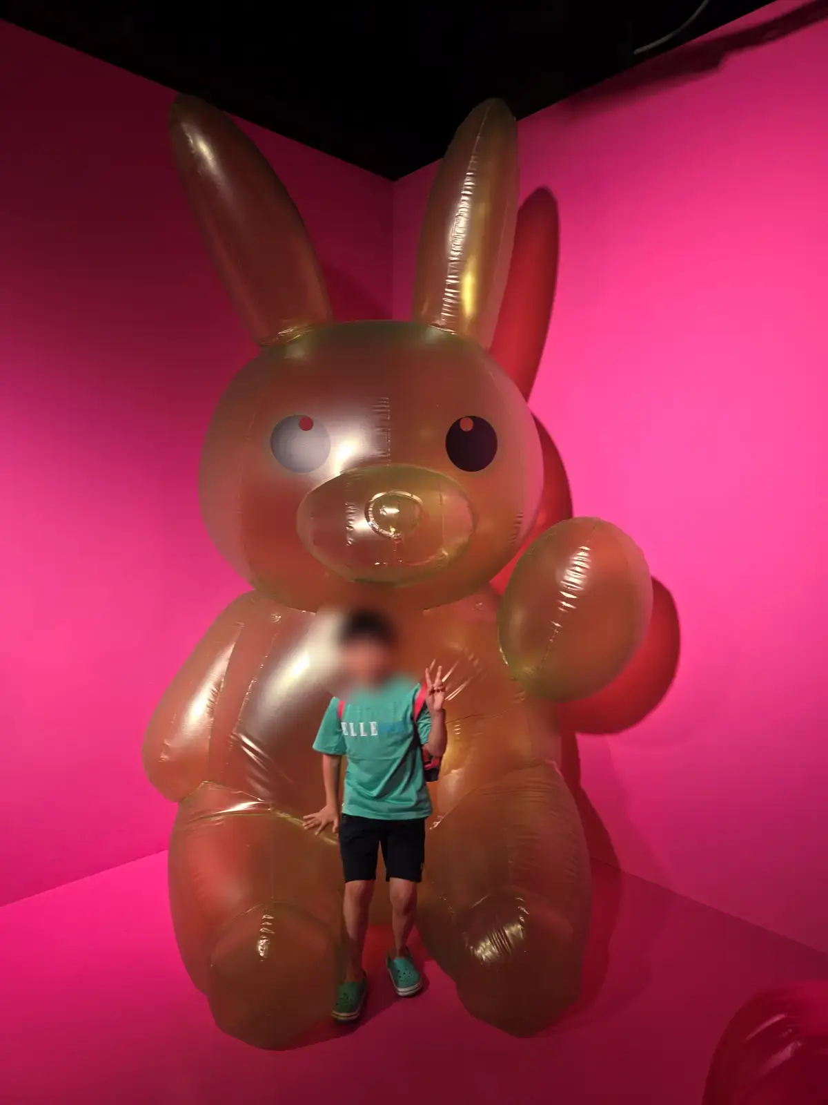 내부20