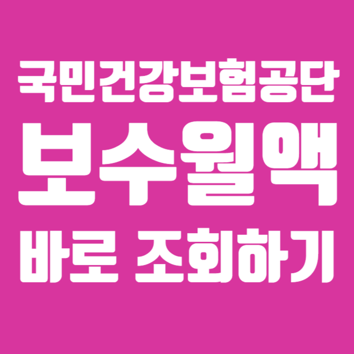 국민 건강 보험 공단 보수 월액 01