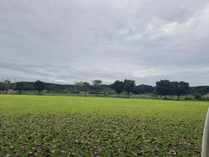 강원도 양양파크골프장 (송이조각공원파크골프장)소개