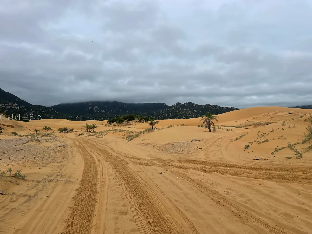 나트랑-판랑-사막투어-가족여행-눈치게임-대성공-핑크지프-모래썰매-만족후기일정경비정리