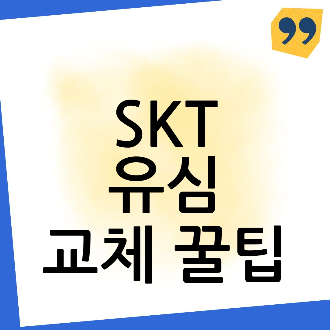 SKT 유심 교체