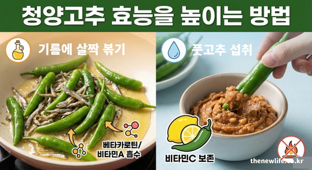 지용성 비타민 흡수를 위한 기름 조리법과 비타민C 보존을 위한 풋고추 섭취 등 청양고추 효능을 높이는 방법