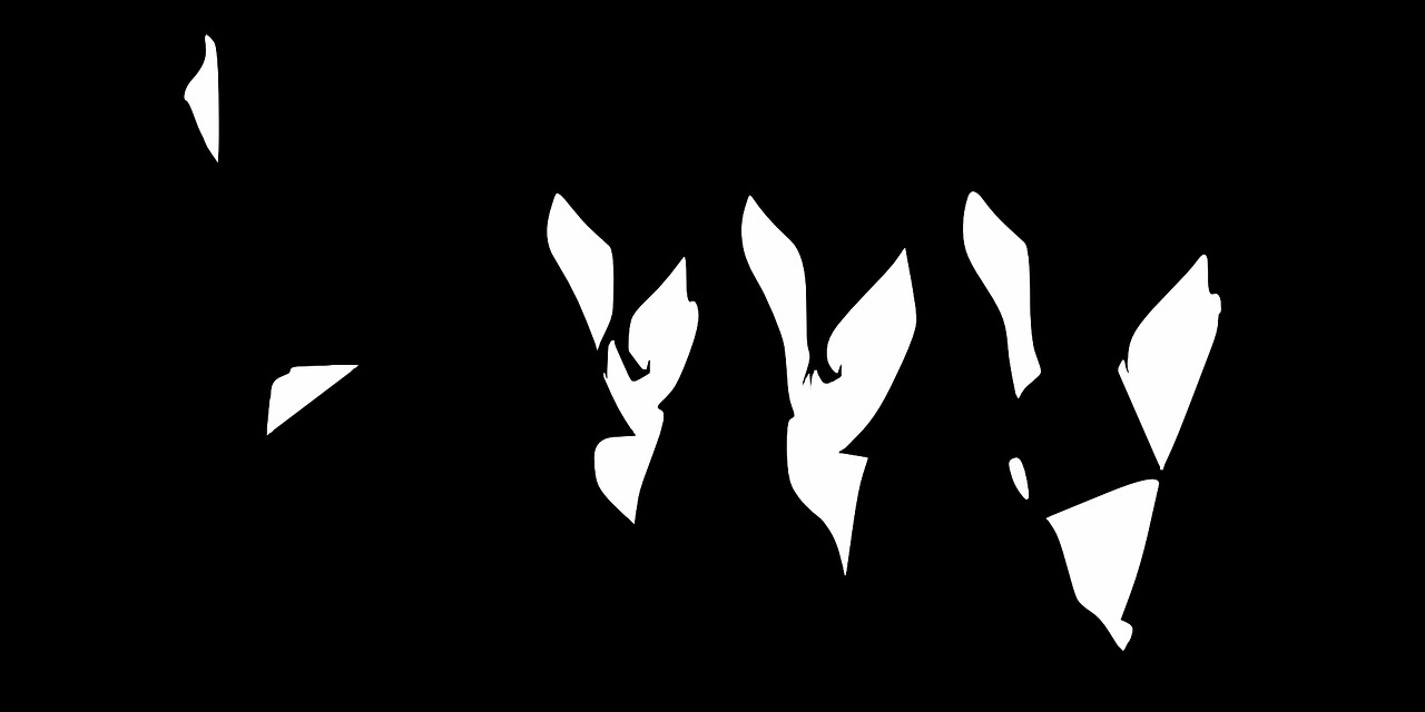 알리-쇼핑몰-바로가기-알리익스프레스-알리익스프레스바로가기-알리쇼핑몰