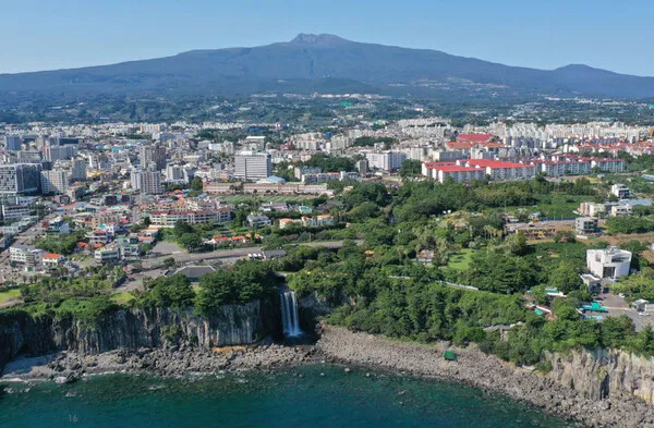 제주 서귀포 카페 추천 디저트 맛집과 뷰 맛집 정리_4