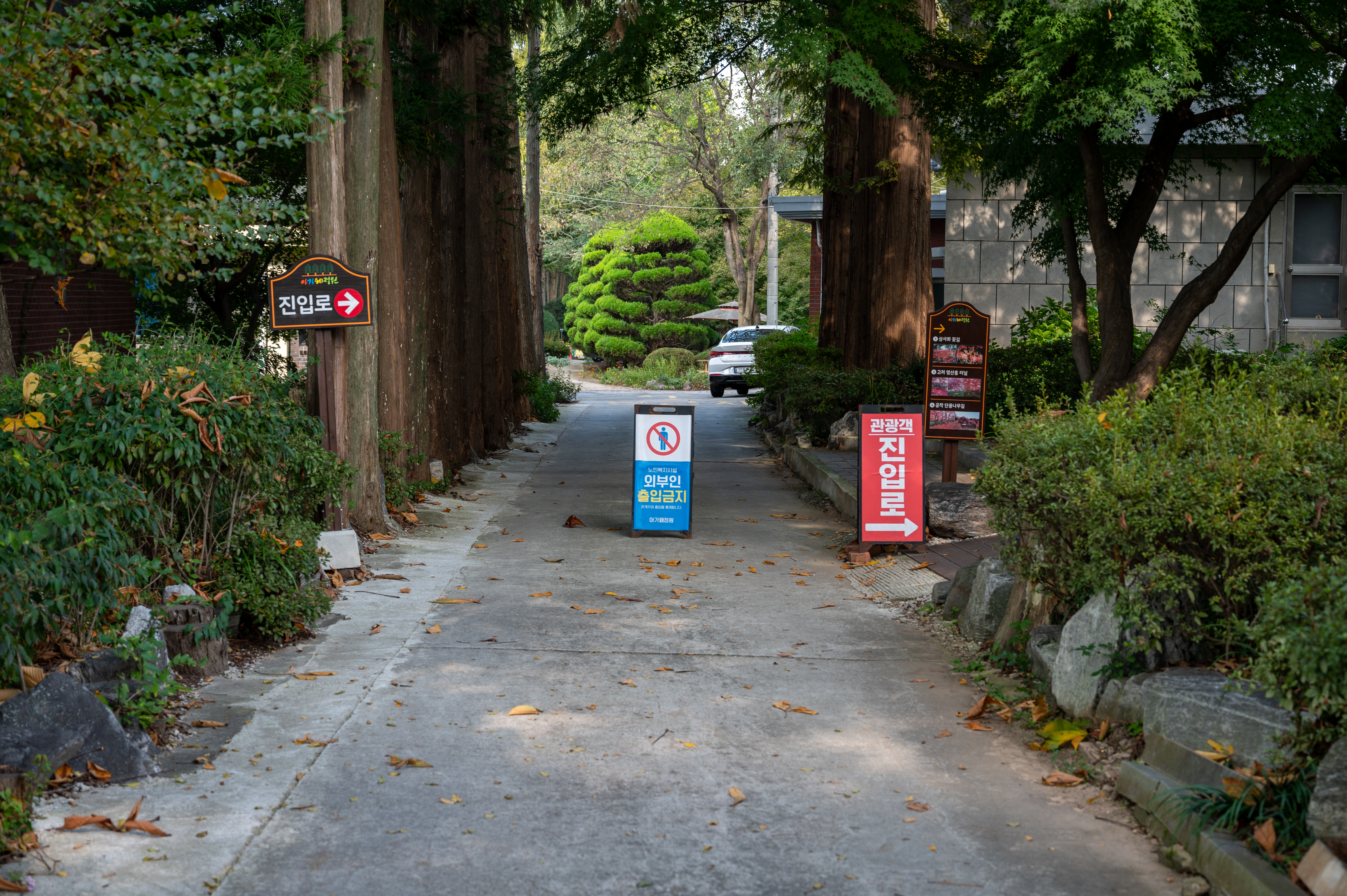 ์๊ฐํ ์ ์