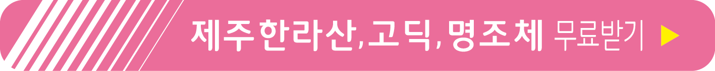 제주전용서체 무료 받기