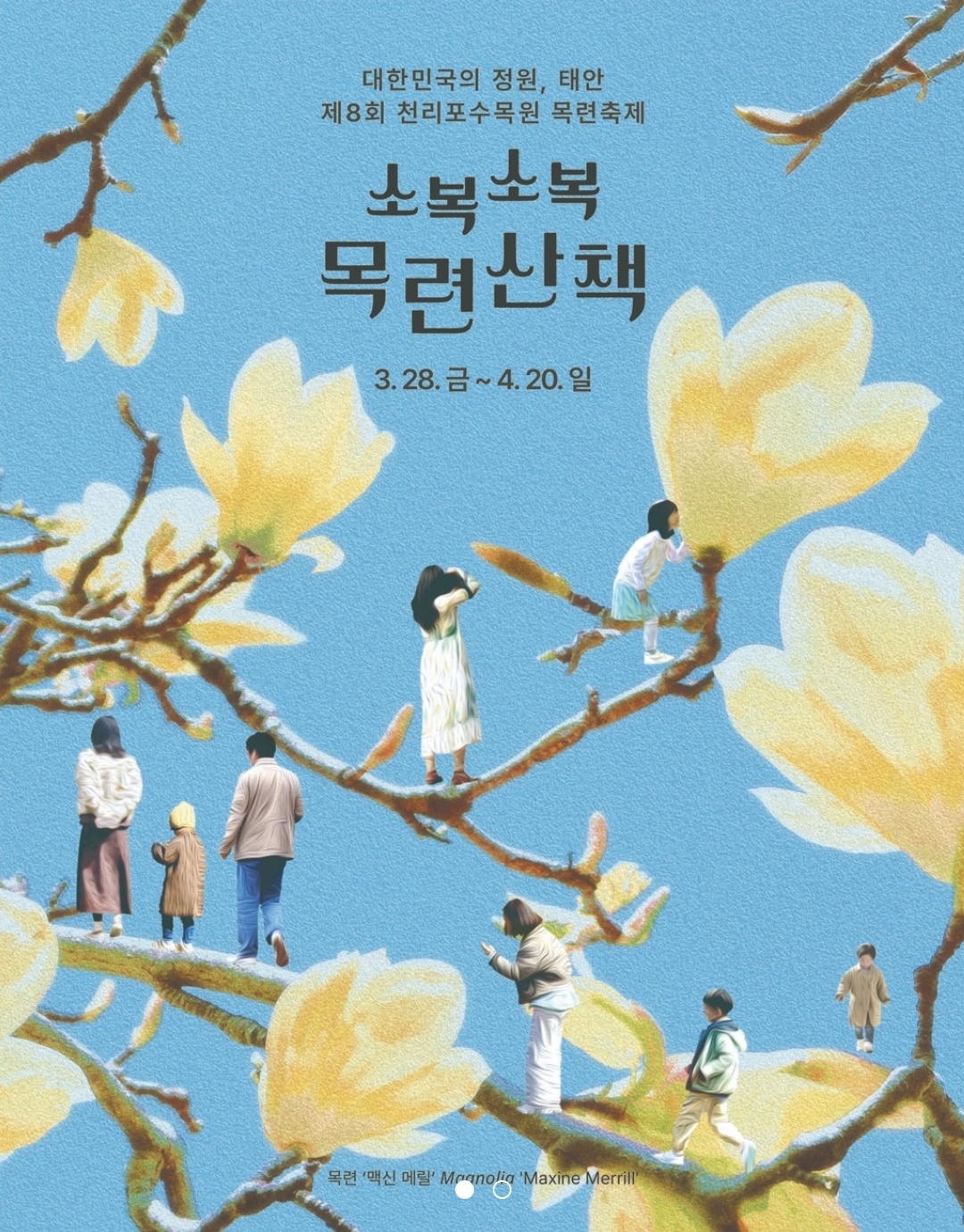 천리포 소복소복 목련산책