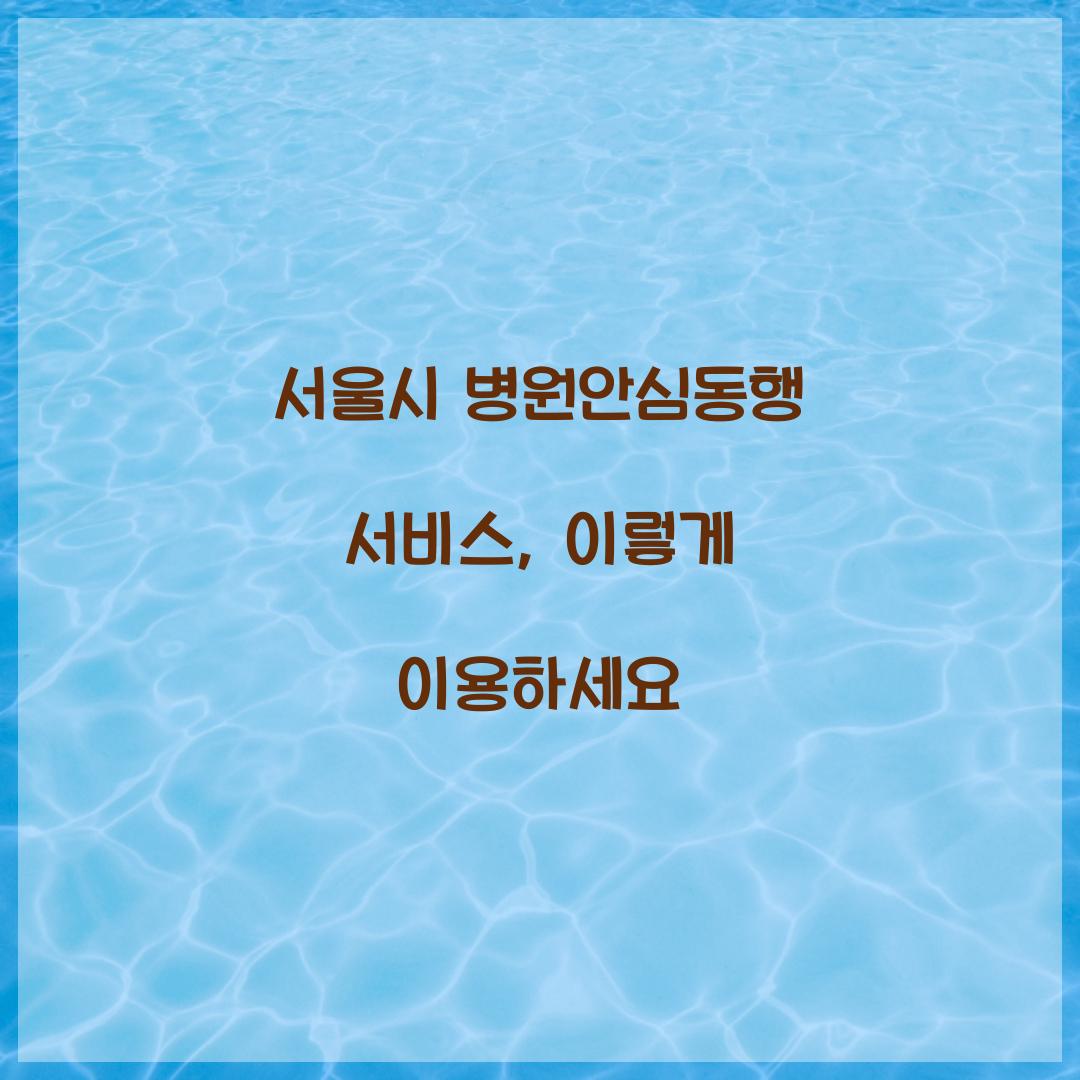 서울시 병원안심동행 서비스