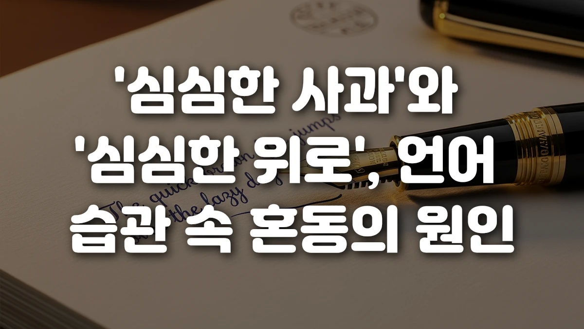 심심한 사과 와 심심한 위로 언어 습관 속 혼동의 원인