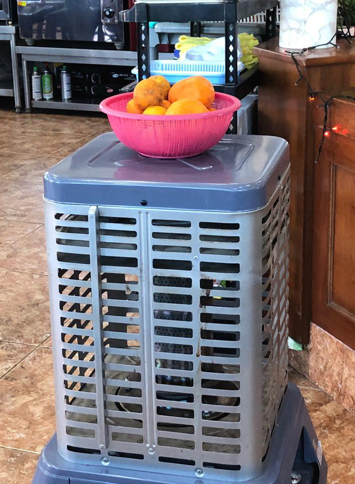 금능자갈-내부-귤-담긴-바구니