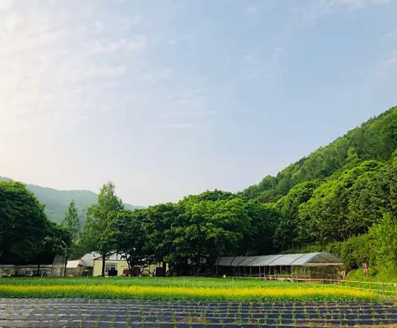 한터농원영농조합법인