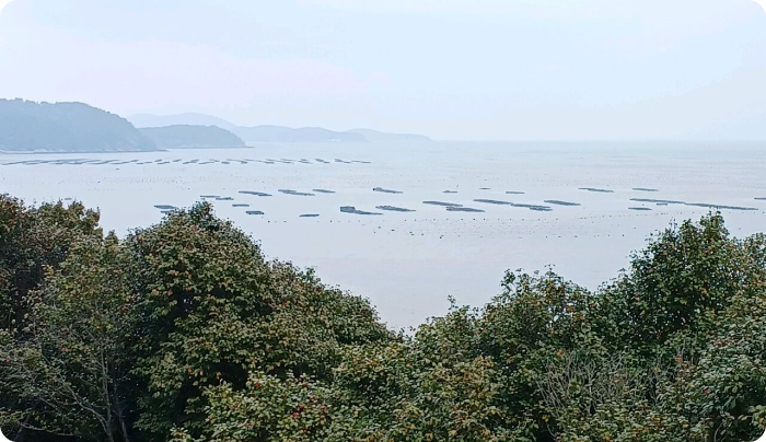 출처 약산 해안 치유의 숲