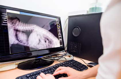 개의 악성종양을 예방&middot;조기발견 방법.