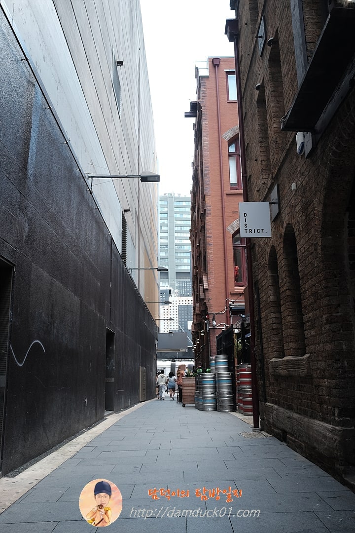 2024년 12월 19일 시드니