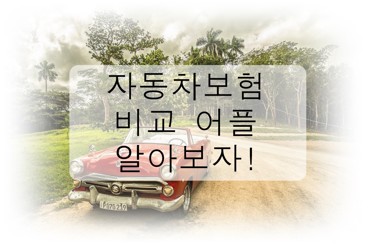 자동차 보험 비교 어플 저렴하게 가입해보자!