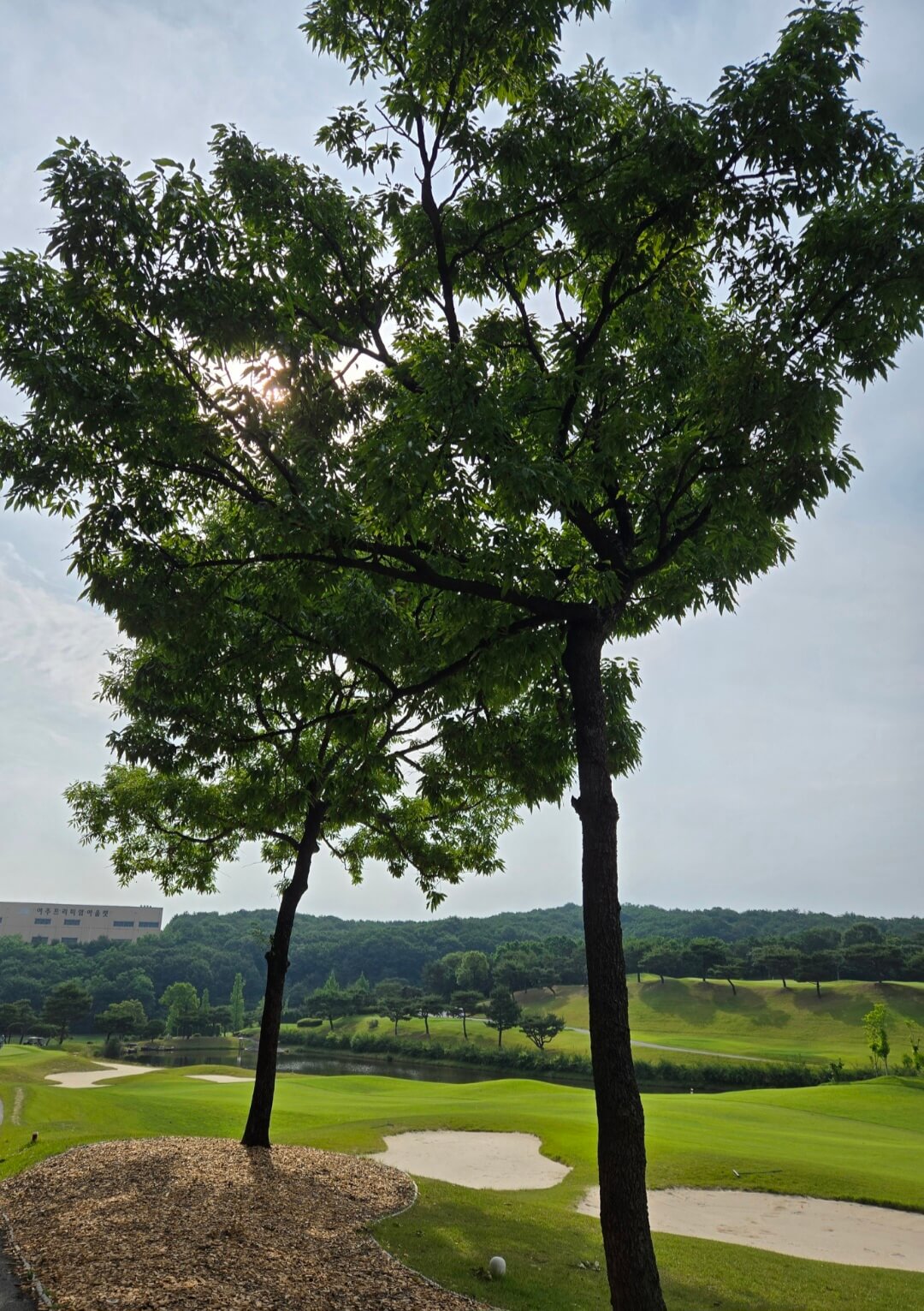 금강cc 동코스 코스전경