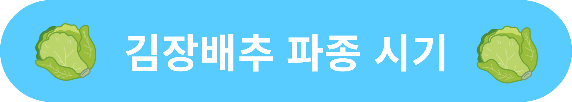 김장배추 파종 시기