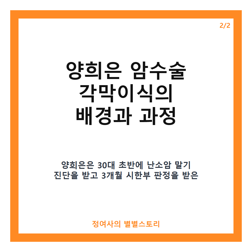 양희은 암수술 각막이식 고백과 현재 건강 상태 업데이트 카드뉴스 3