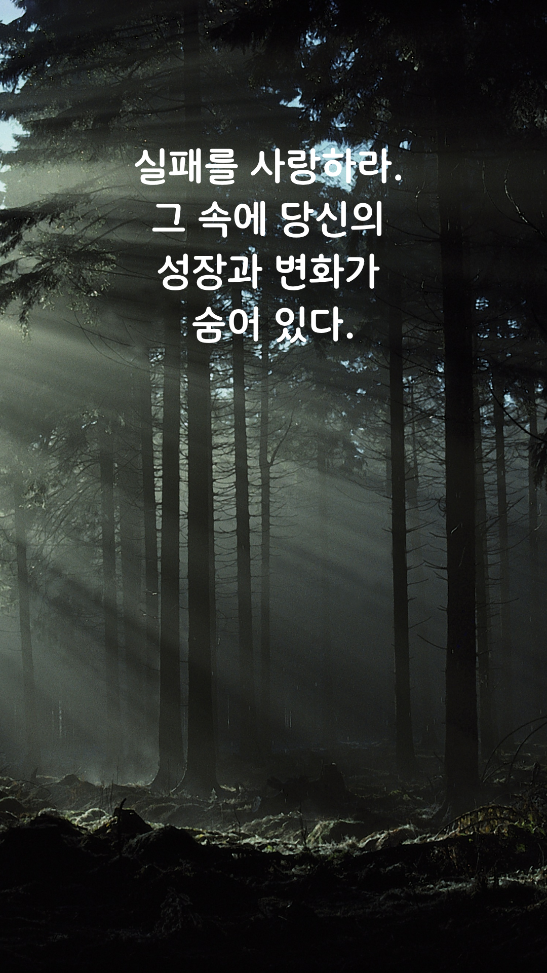 실패 명언 짧고 좋은 글귀 인생 문구 이미지