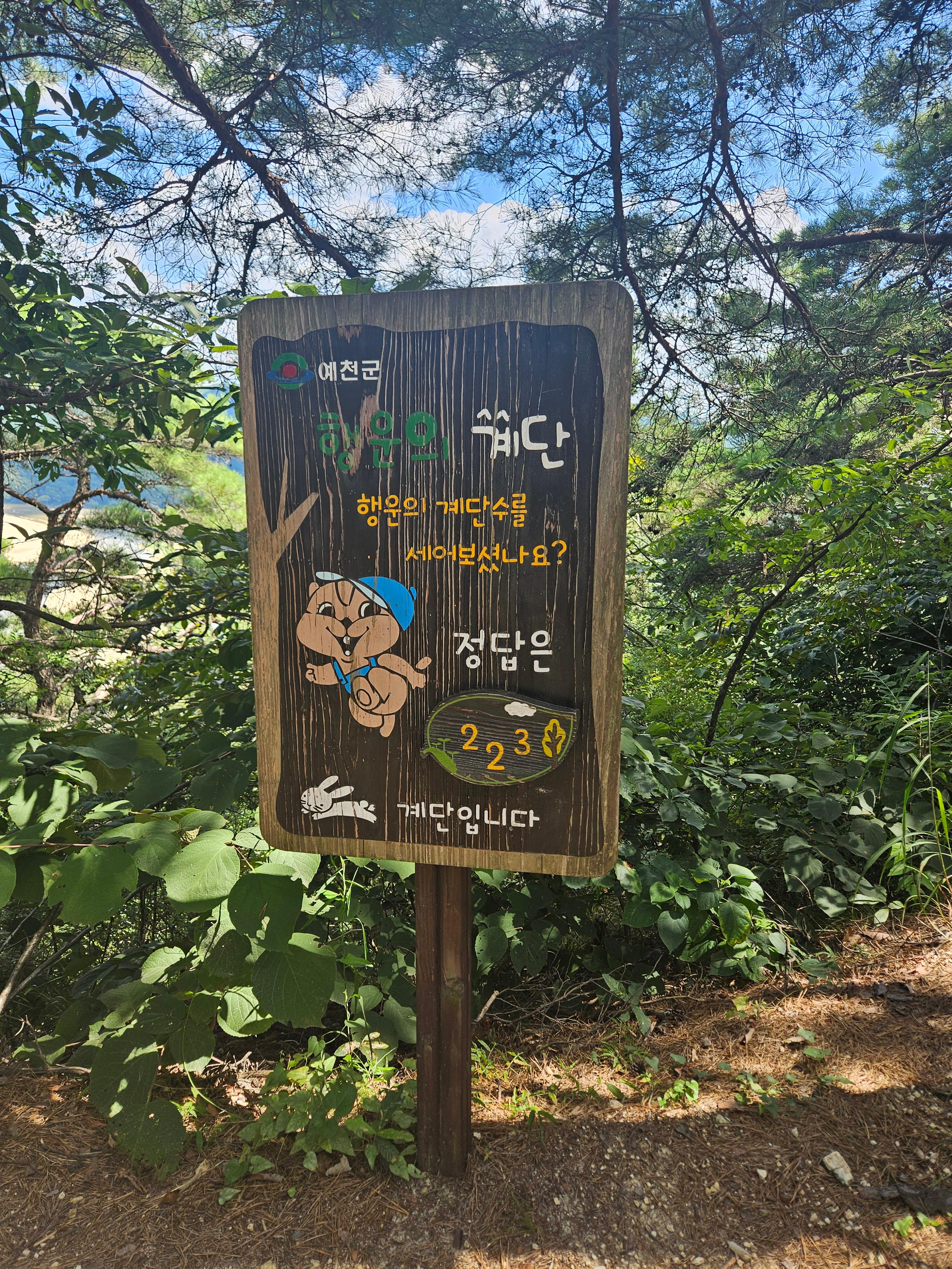 예천 회룡포 전망대와 느린 우체통 – 1년을 돌아온 나의 엽서 관련 사진