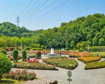 울산대공원 장미축제_5