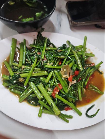 방콕 태국여행 공항 픽업 박군투어