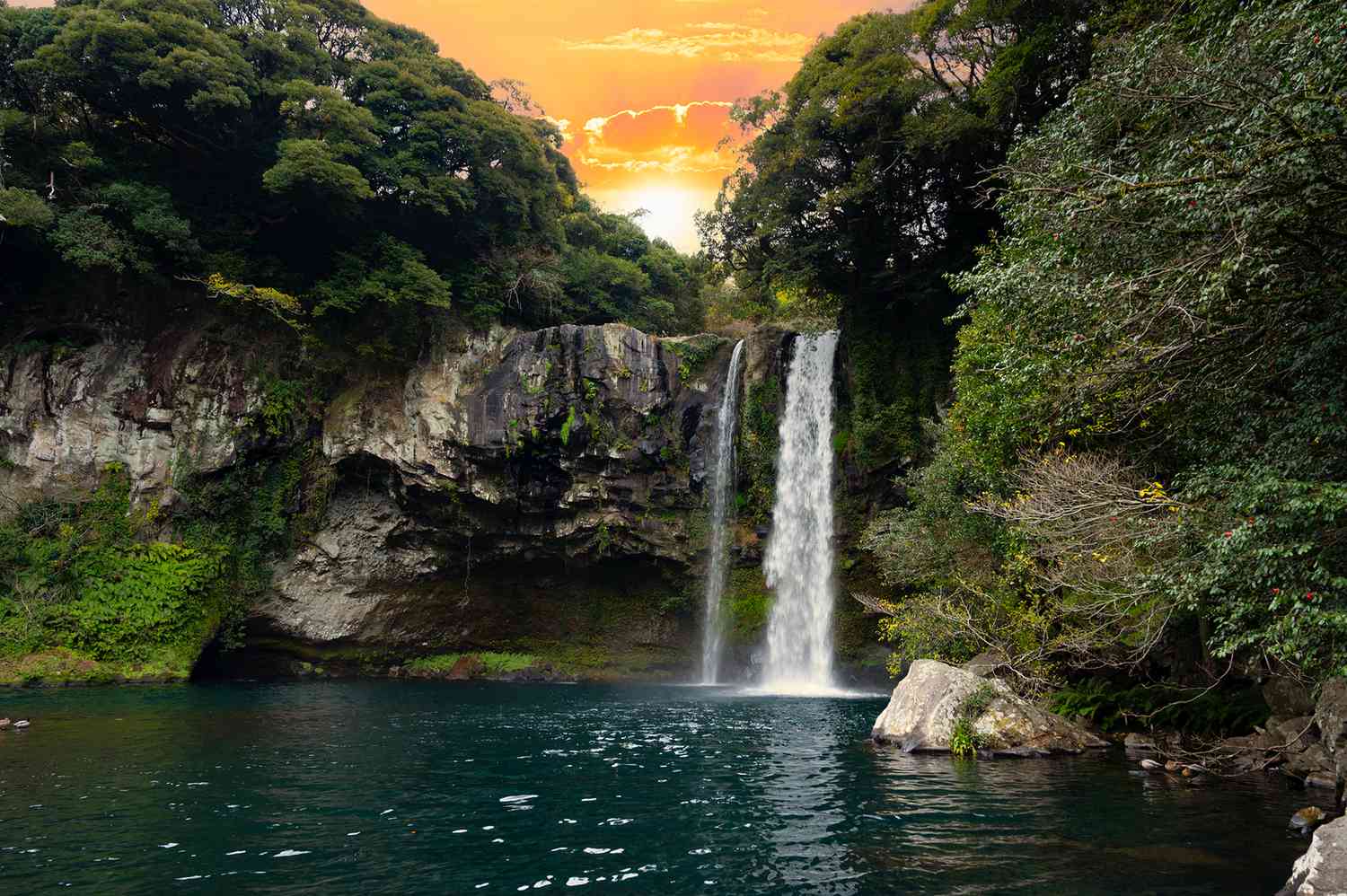 제주도 관련 사진