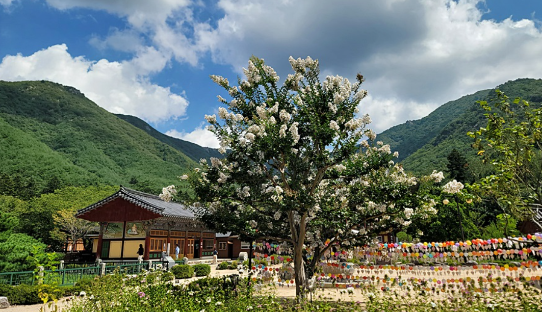청도 운문사