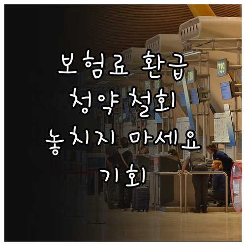 내 보험 되돌릴 기회 보험 청약 철회