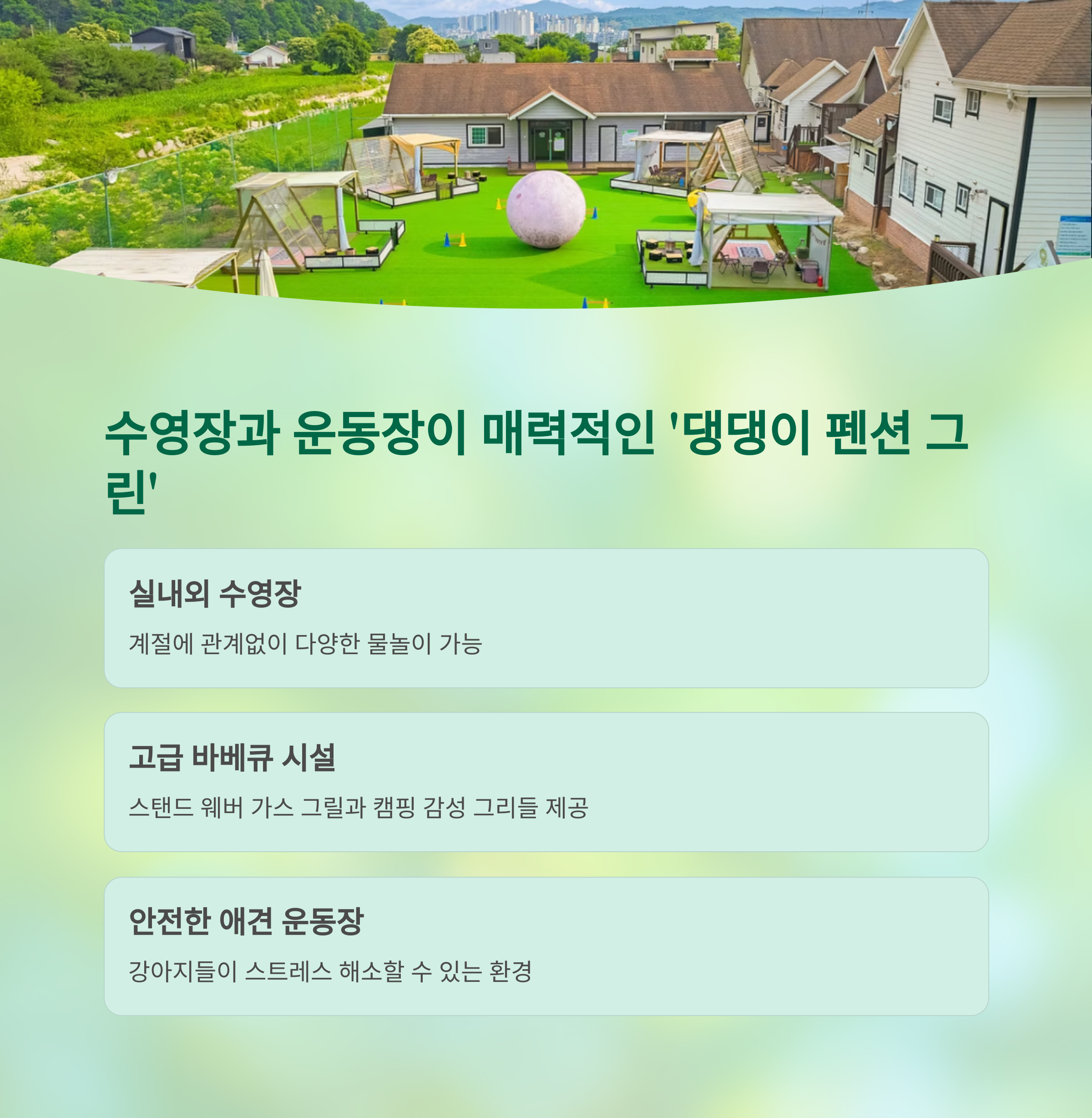 수영장과 운동장이 매력적인 댕댕이 펜션 그린