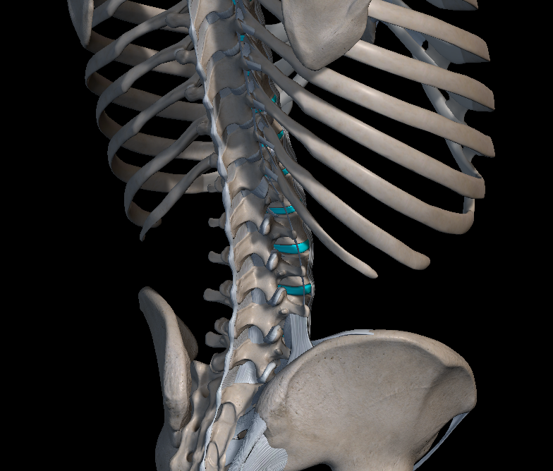 허리 디스크 다리 저림 증상 원인