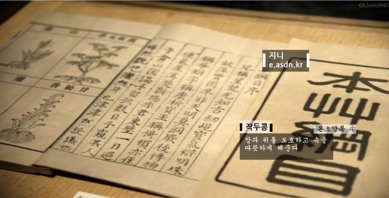 작두콩 효능 7가지와 부작용 총정리