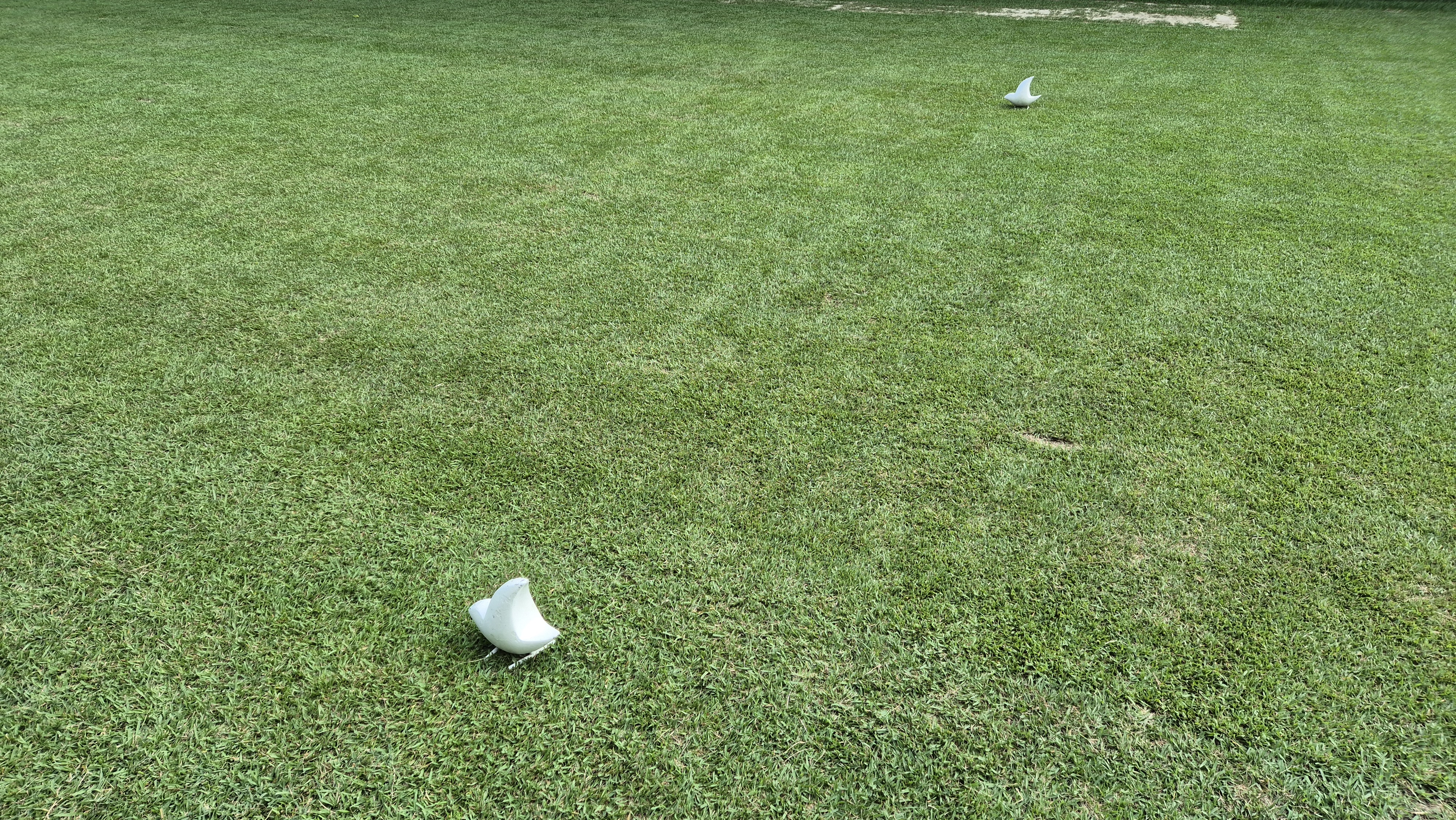 한성cc 오렌지-그린 코스 라운드 후기