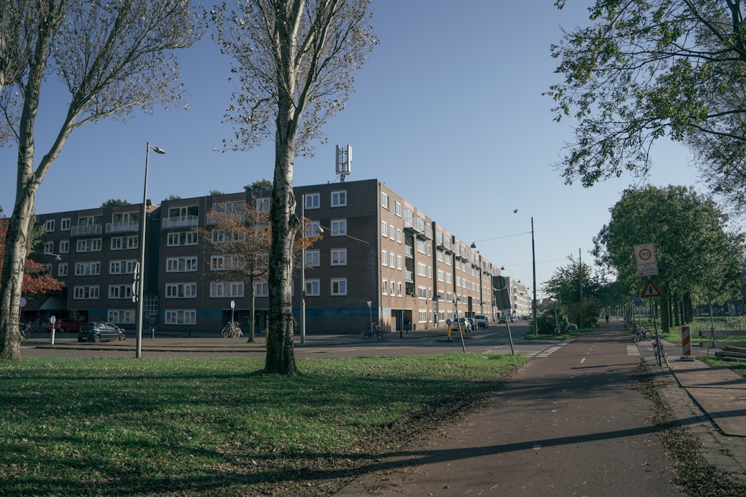 'Public Housing'