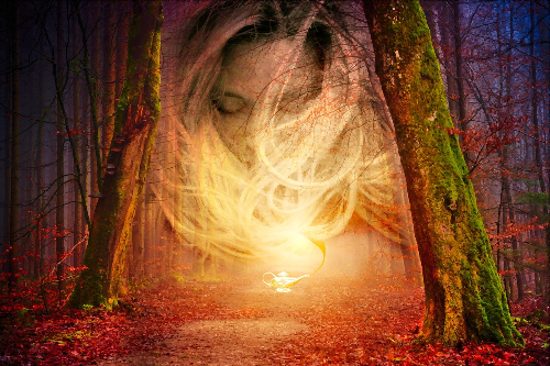 램프의요정-시크릿-론다번시크릿-1%부자의법칙-끌어당김의법칙