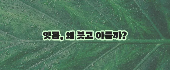 잇몸 붓고 아픈 이유 잇몸 부음 원인을 알아봐야 합니다!