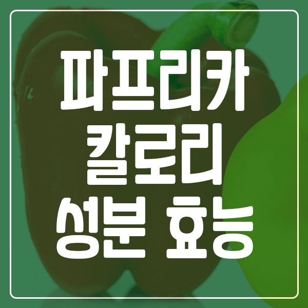 파프리카 칼로리 성분 효능