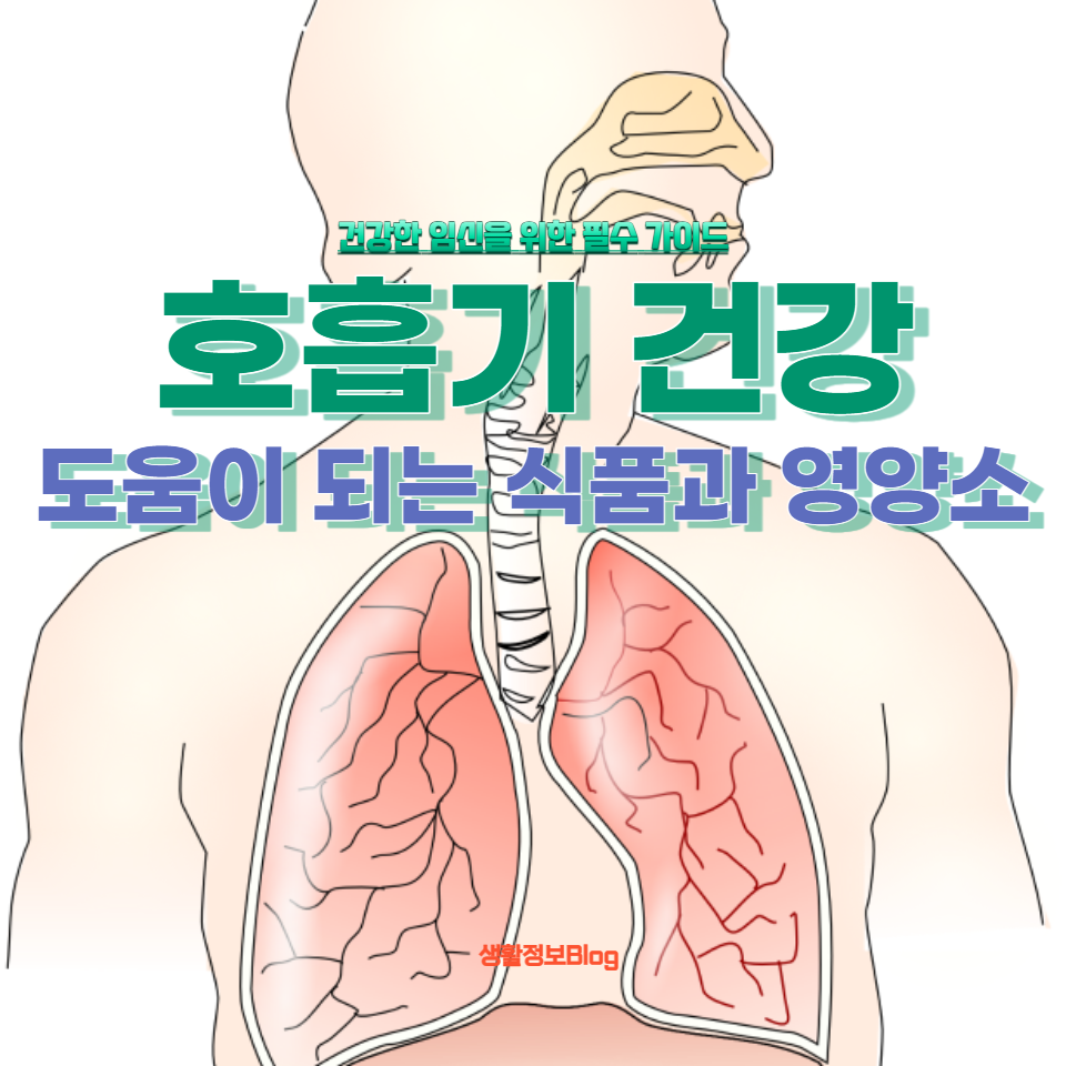호흡기 건강을 지키는 법과 호흡기 질환 예방 전략에 대한 꿀팁!