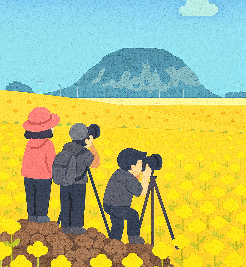 한라산 실시간 CCTV