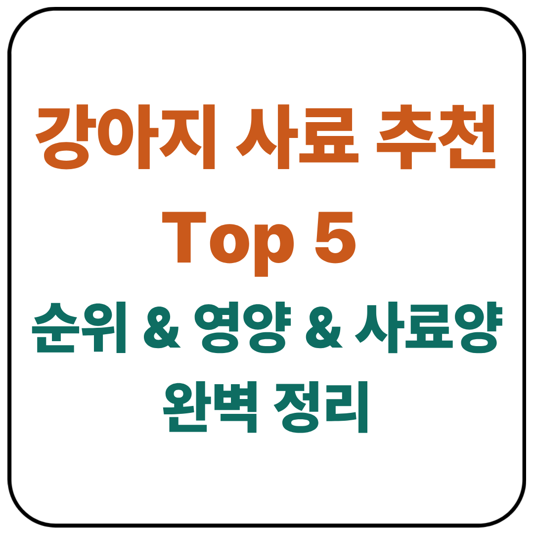 강아지 사료 추천 Top 5 – 순위 & 영양 & 사료양 완벽 정리
