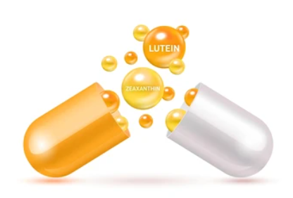 루테인 복용시간